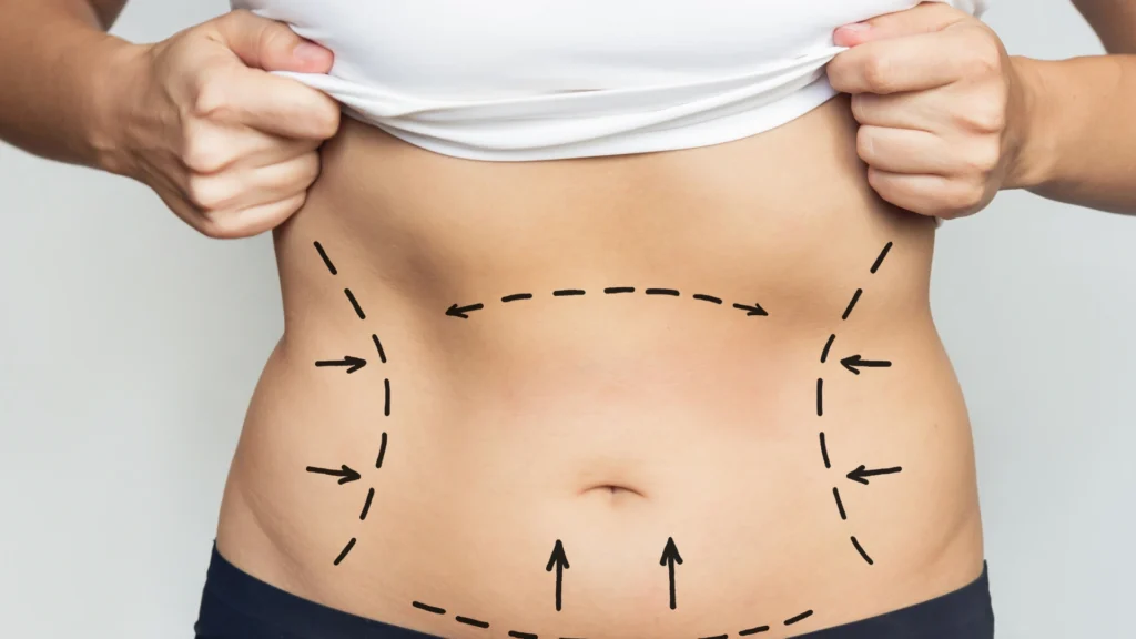 Adipocytes store and release energy in lipolysis in adipose tissue.