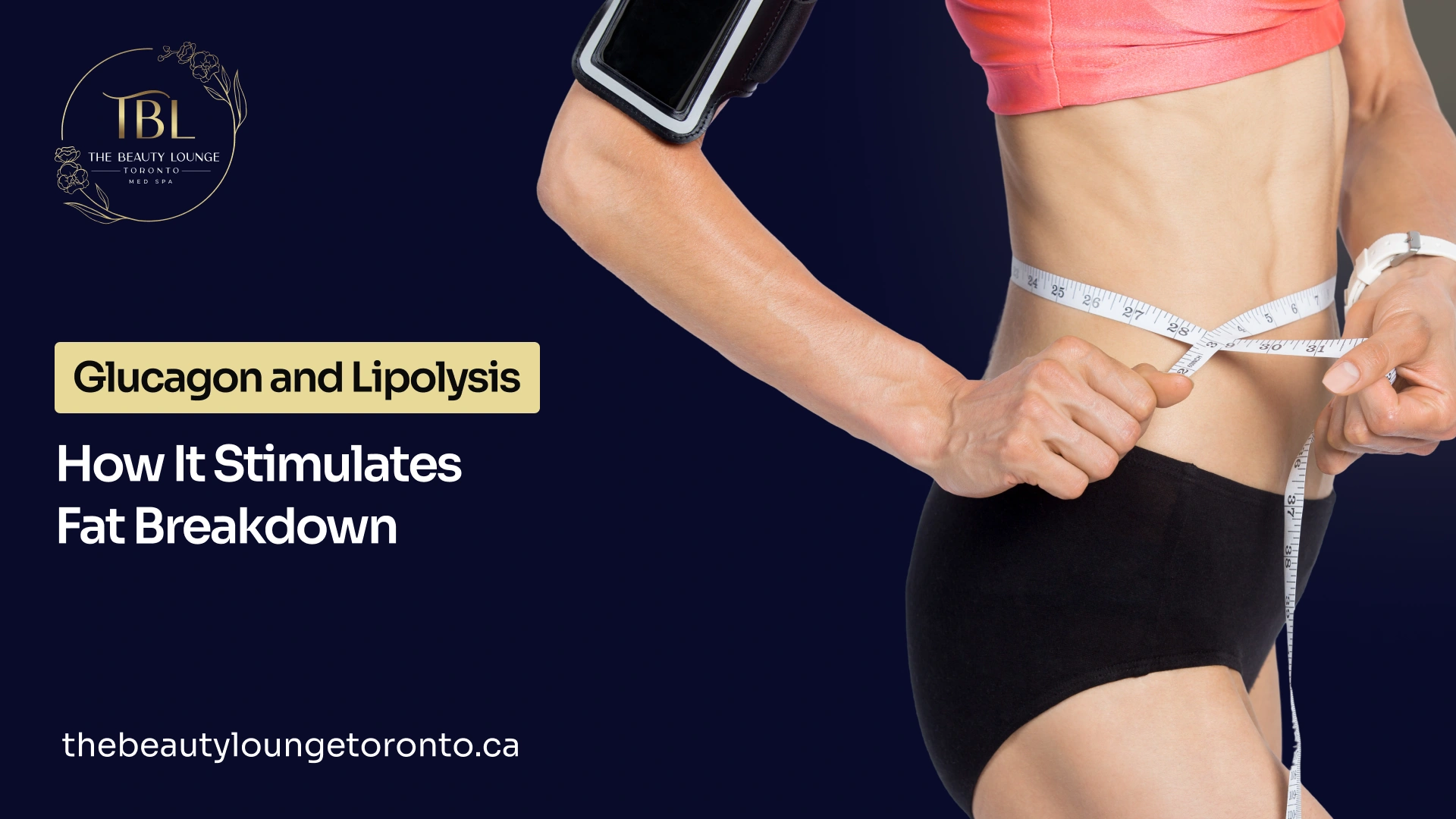 Guide on does glucagon increase lipolysis and support fat breakdown.