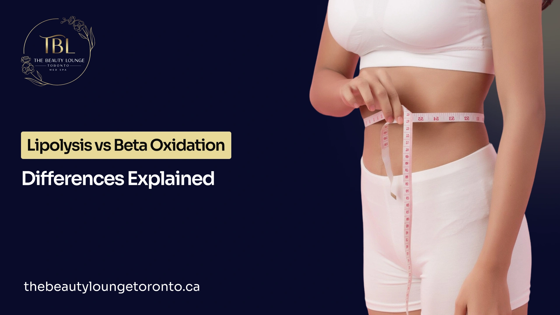 Guide on the key differences between lipolysis vs beta oxidation.