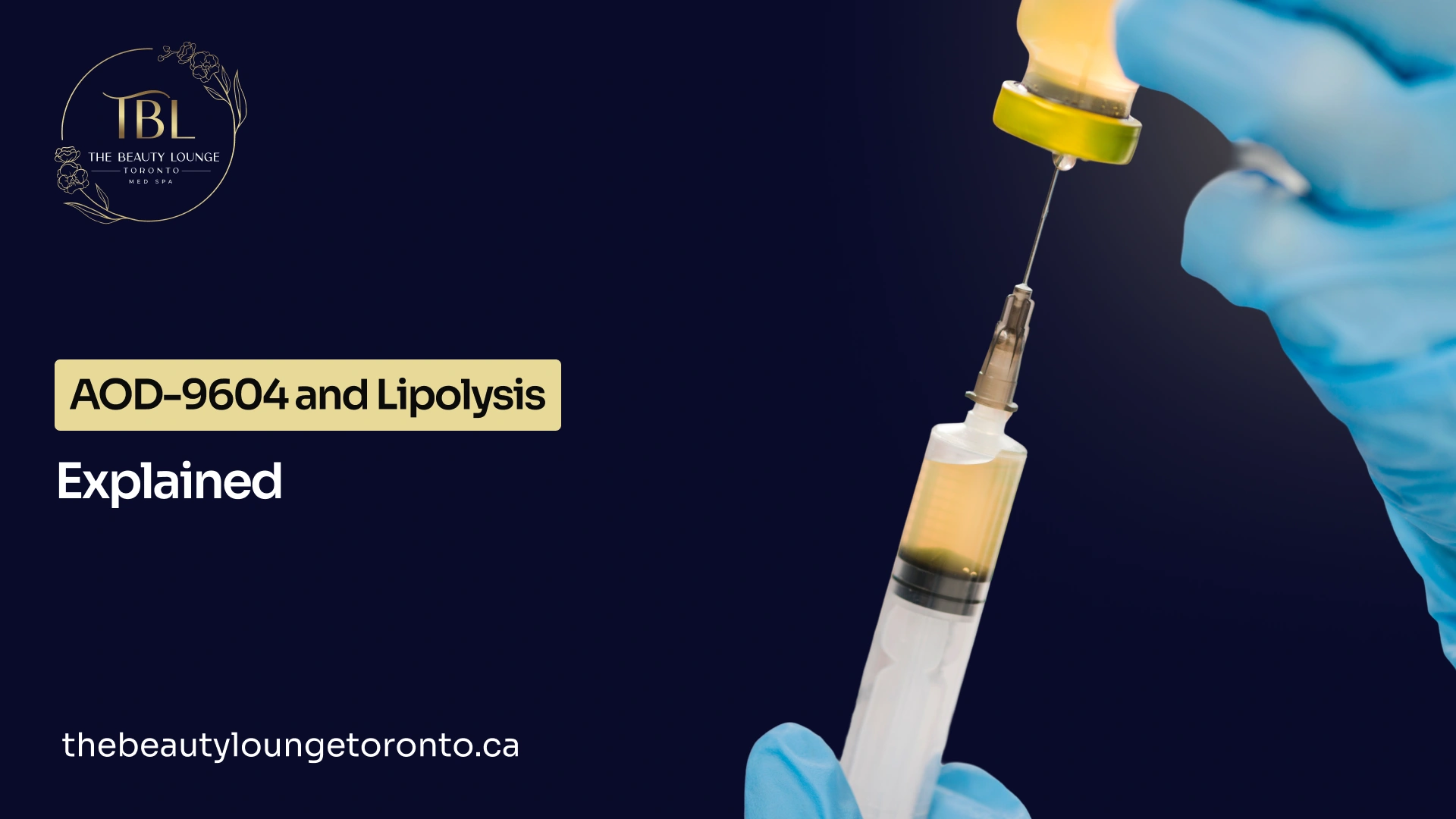 Overview on AOD-9604 lipolysis mechanism of fat breakdown.