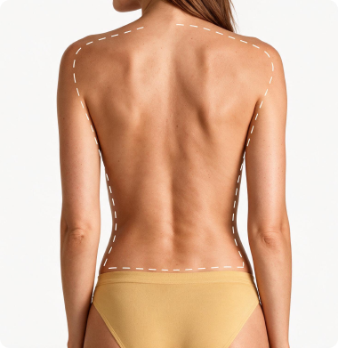 Full Back