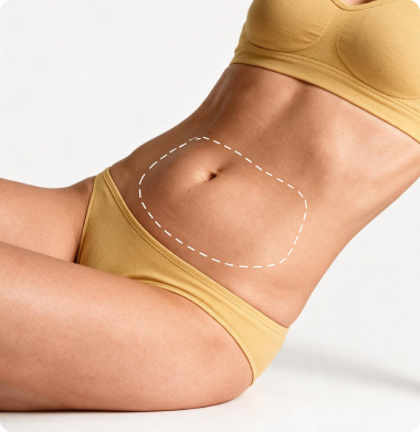Stomach